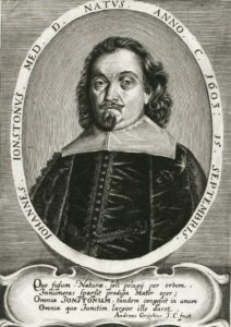 Portrait von Jan Johnston